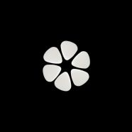 OROGLAS Opalvit 800 00440